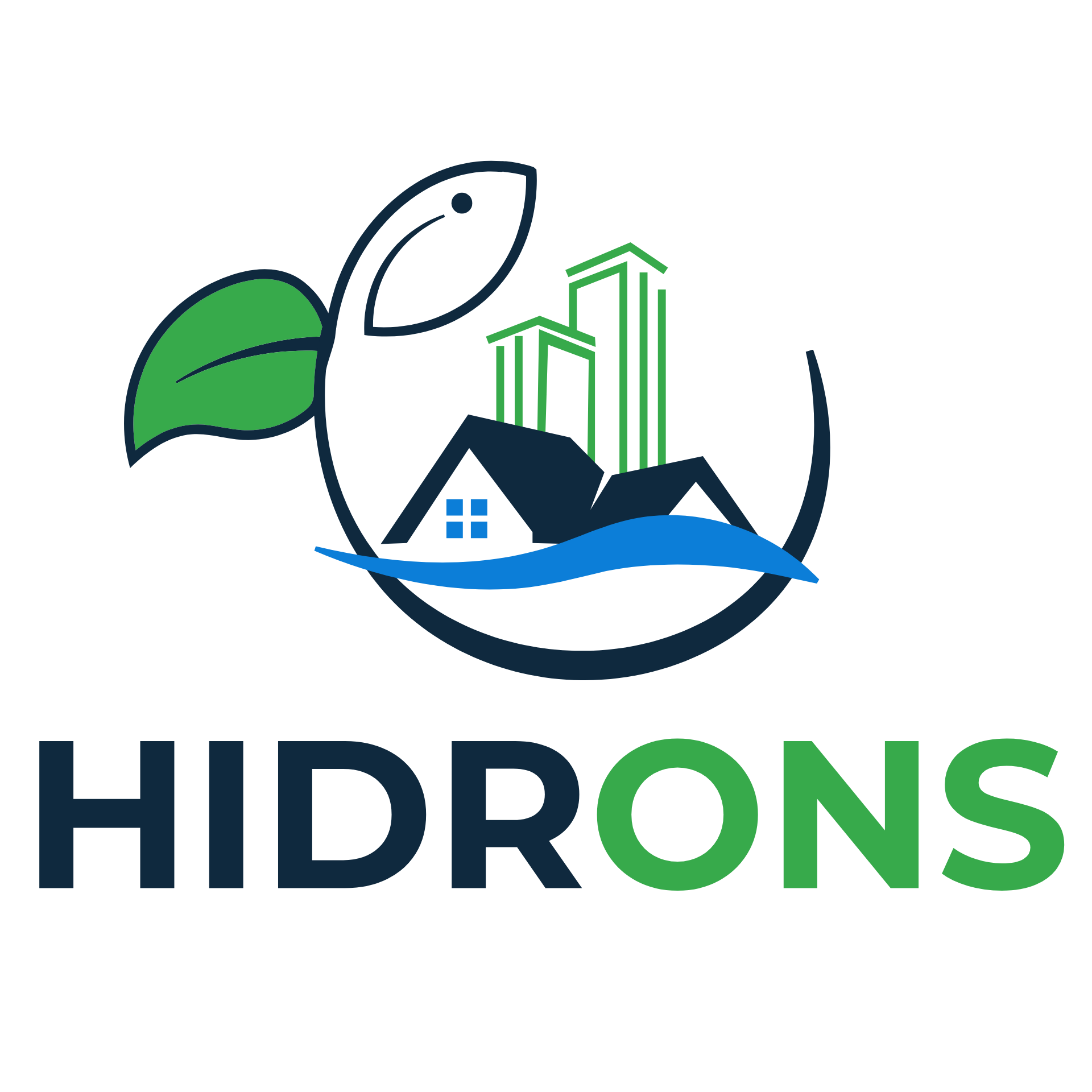 Logo Hidrons